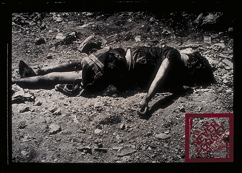 <a href="/artist/ry%C5%ABichi-hirokawa">Ryūichi Hirokawa</a>