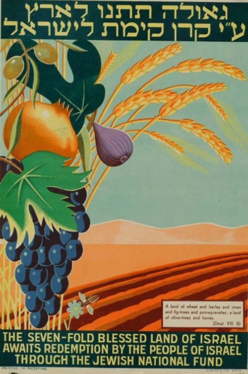 <a href="/artist/franz-krausz-1905-1998">Franz Krausz (1905-1998) </a>