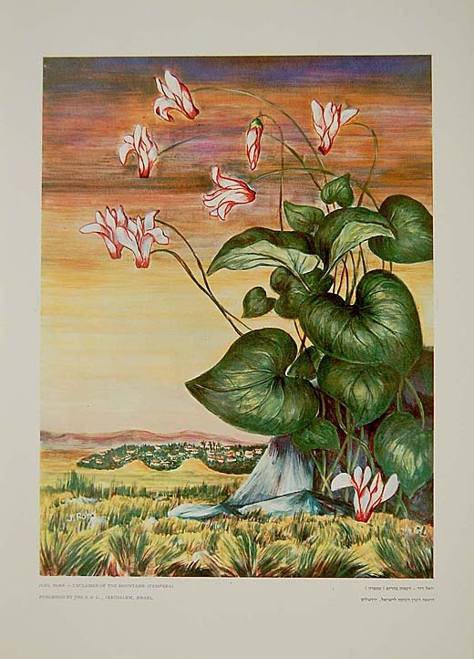 <a href="/artist/joel-rohr">Joel Rohr</a>