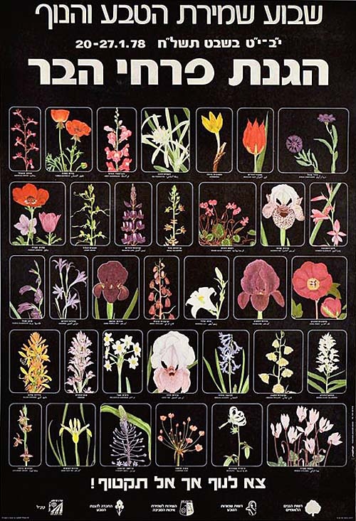 <a href="/artist/heather-wood">Heather Wood</a>